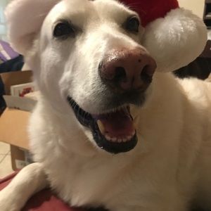 Meet your Posher, Kassandra